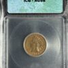 A 1904 Indian Head Cent IGC AU58 featuring a profile relief, graded au58 by icg, encased in a protective plastic slab.