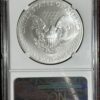 2013 American Silver Eagle NGC MS69 - Image 2