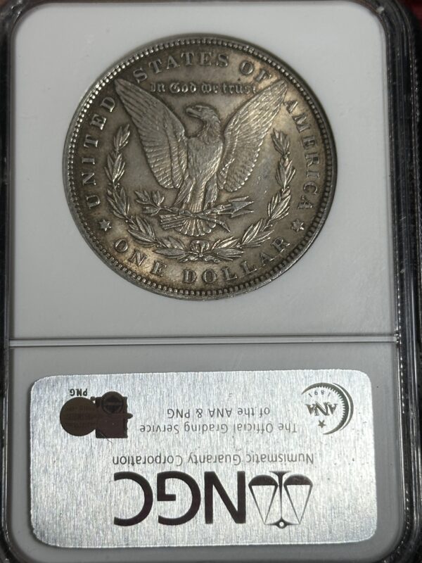 A 1897 Morgan Dollar NGC MS62 coin displayed in a protective ngc grading case.