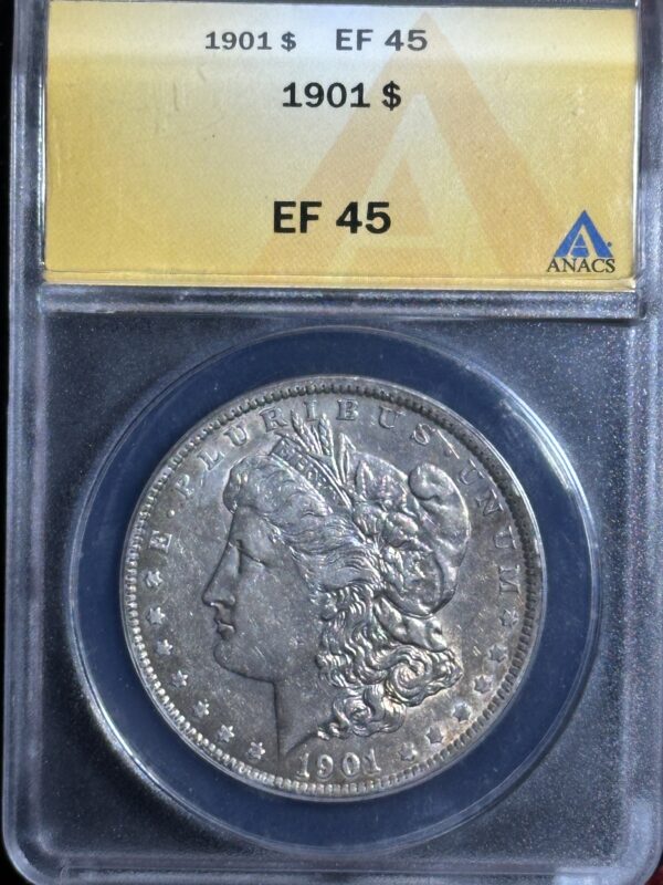 A 1901 Morgan Dollar ANACS XF45, displayed in a protective case with labels showing details and grading information.