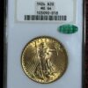 1924 St. Gaudens Double Eagle NGC MS64 CAC Old Holder